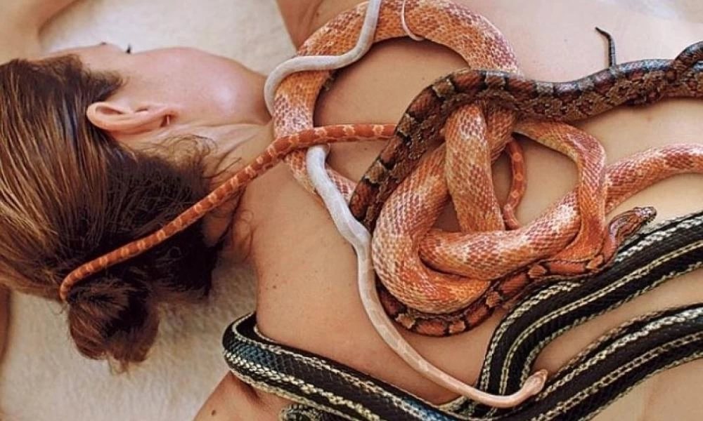 Μασάζ με φίδια: Ανατριχιαστικό ή αναζωογονητικό;